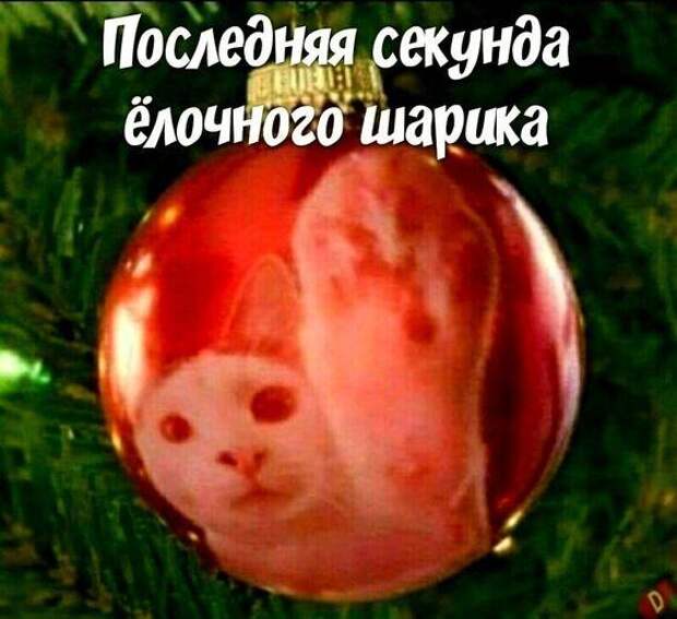 Свежие мемы данного вторника