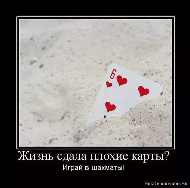 Прикольные демотиваторы с надписями. Подборка chert-poberi-dem-chert-poberi-dem-08310504012021-4 картинка chert-poberi-dem-08310504012021-4