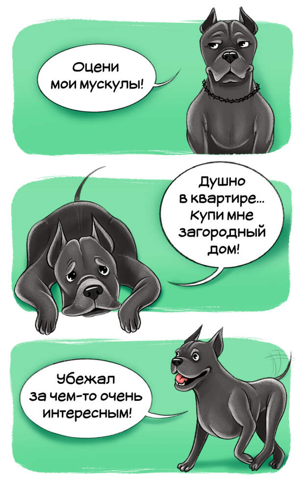 Честный гид по породам собак от первого лица (Часть 2-я)