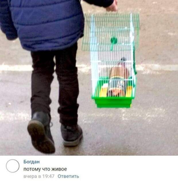 Так много вопросов, и так мало ответов...