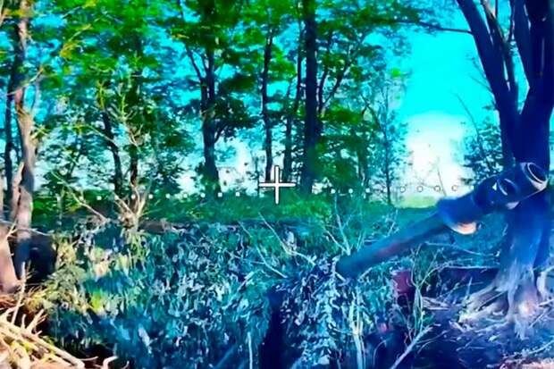 Малоизвестную пушку-гаубицу M1981 из Румынии уничтожили бойцы «Спарты»