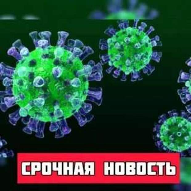 Демотиваторы про коронавирус с надписями. Подборка chert-poberi-dem-koronavirus-chert-poberi-dem-koronavirus-52190111072020-4 картинка chert-poberi-dem-koronavirus-52190111072020-4
