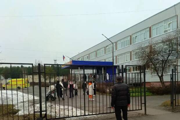 Губернатор Махонин: учительница, на которую напал подросток, в тяжелом состоянии