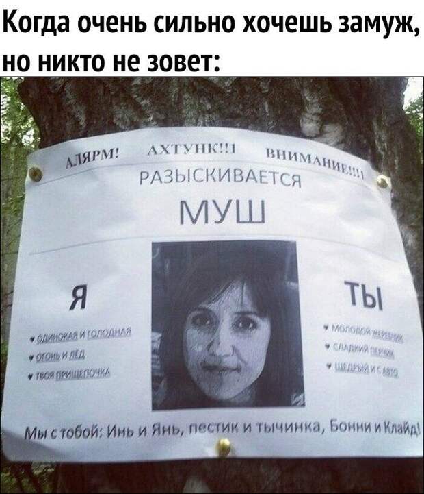 Смешные картинки из соц сетей (27 фото)