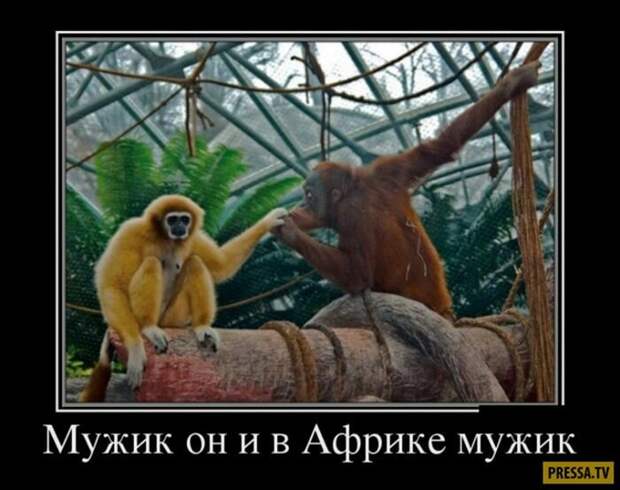 https://avatars.mds.yandex.net/get-zen_doc/48747/pub_5b3e3bd543cf0000a916a3e8_5b3e3cb1d150d600a9366e29/scale_1200