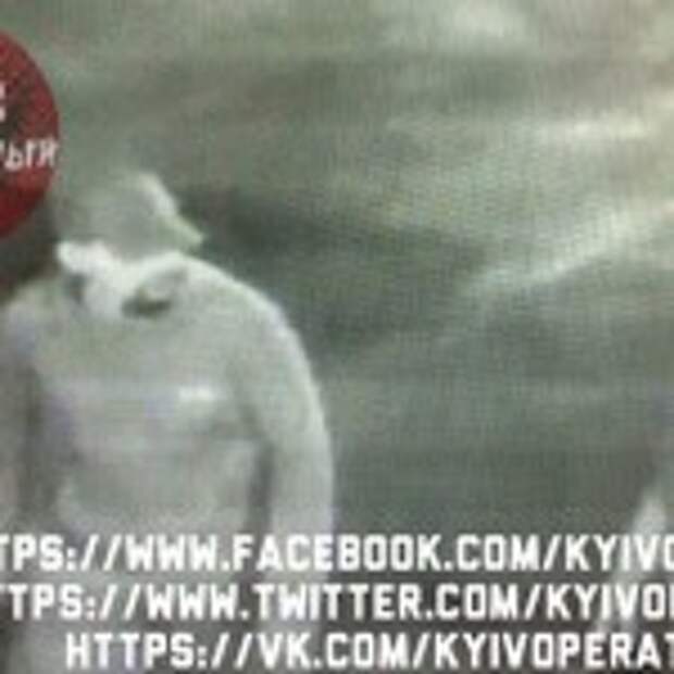 pic_551697ef4eff5ce29fdda7e601a2246f