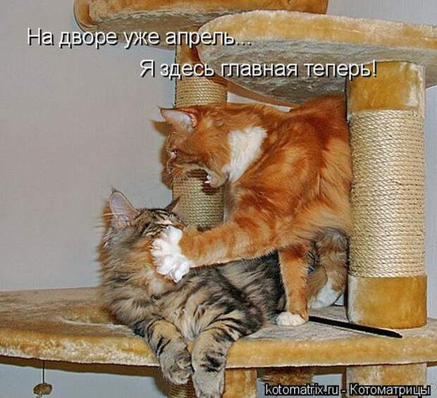Мысли вслух :)