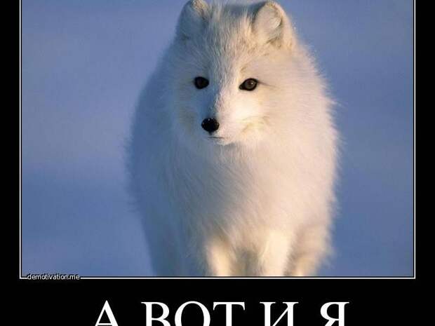 На горизонте замаячила точка коллапса ВСУ – Тарас Чмут