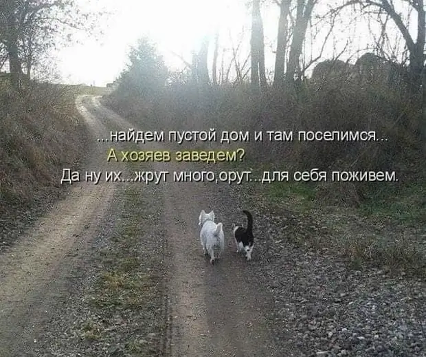 — Что хуже, когда жена не умеет готовить, или не любит готовить?  — Когда любит, но не умеет пидорасы, Нанял, обеда, отношений, голова, фундамент, женщины, болит, здесь, беременна, девушками, русского, распекает, молоденькую, домработницу, Мужчины, догулялась, можешь, сравнивать, своего