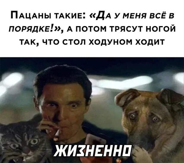 Смешные картинки 26 января 2022 года