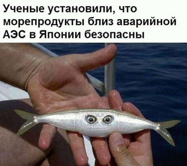 Народный юмор в веселых фото настроение, фото, юмор