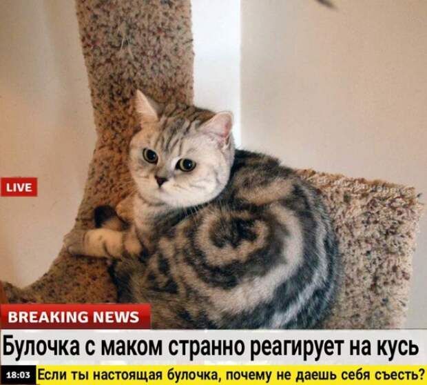 10 способов манипуляции нашим мнением, к которым прибегают в СМИ и соцсетях 10 способов манипуляции нашим мнением, к которым прибегают в СМИ и соцсетях