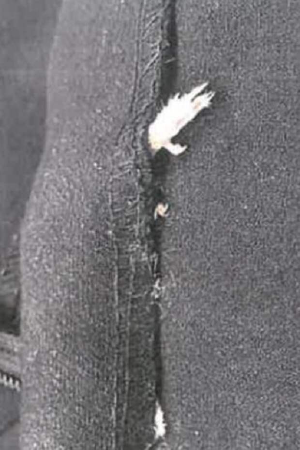 Платье с мышью от Zara Платье с мышью от Zara