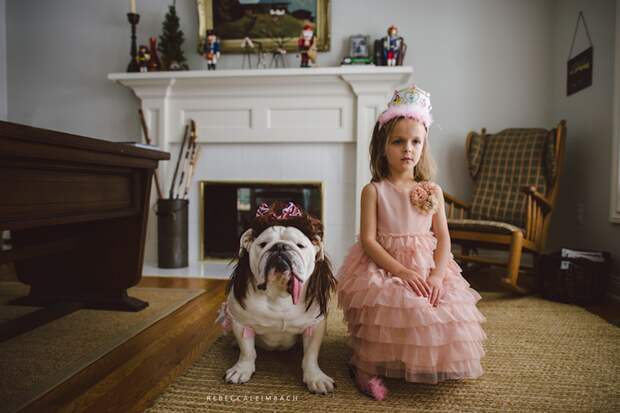 Маленькая принцесса и ее четвероногая подруга девочка, собака