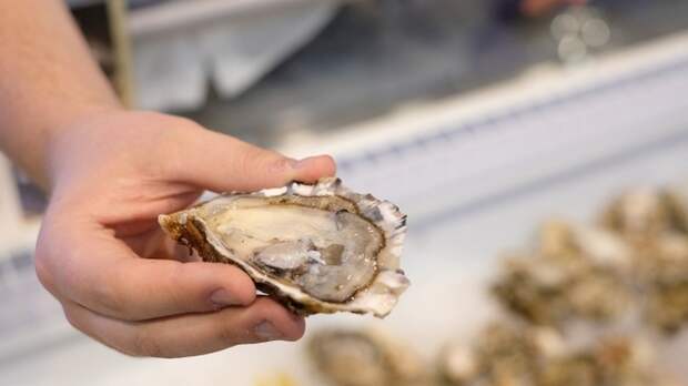 Любителей устриц и мороженого предупредили о неприятном последствии для ЖКТ