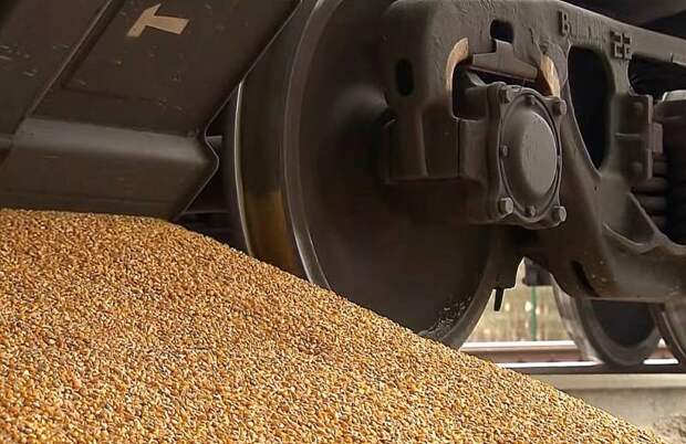 Извлечь максимальную выгоду: куда уходит украинское зерно