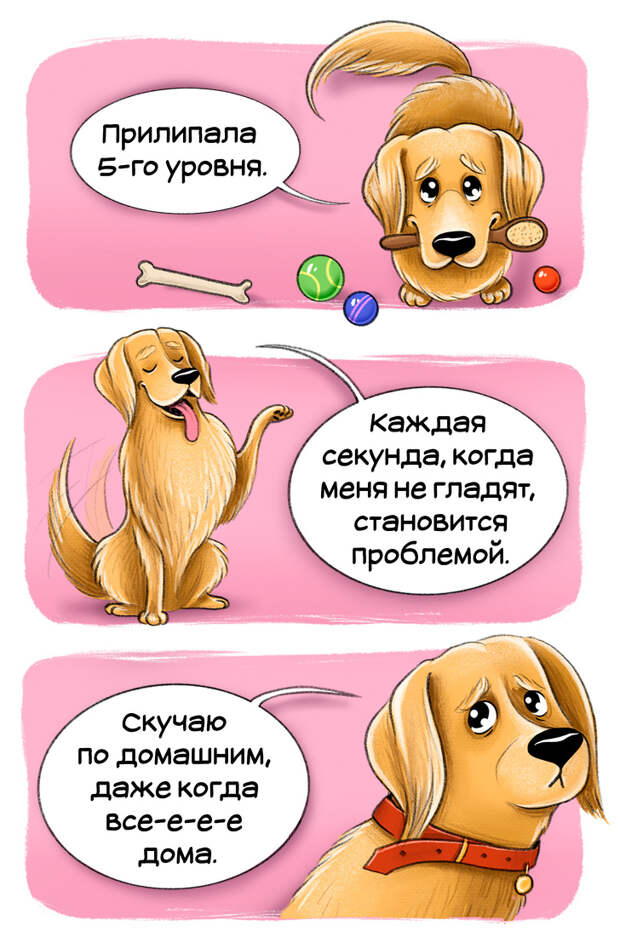 Честный гид по породам собак от первого лица (Часть 2-я)