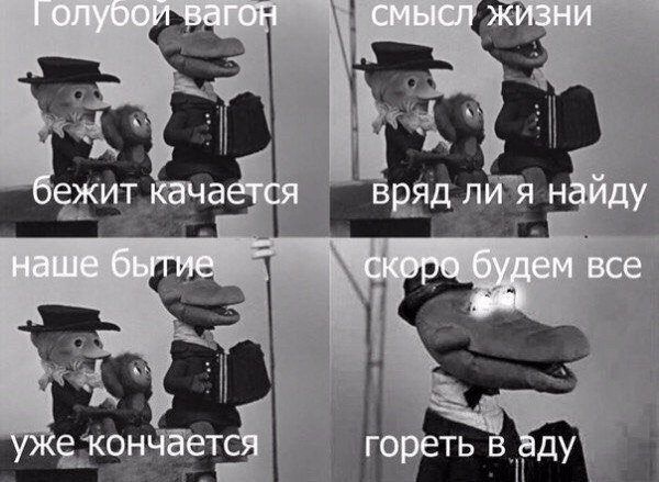ee377b6653.jpg