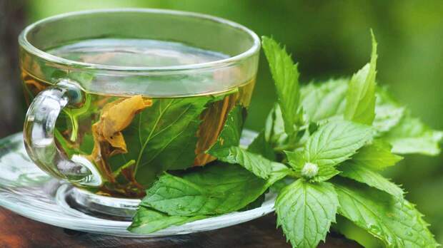 1296x728_Which_Herbal_Teas_Are_Safe_to_Drink_During_Pregnancy-2-Peppermint_Leaf_Tea
