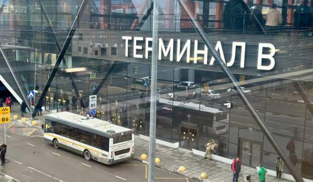 Пользователи «Скачай, не срывай» просмотрели расписание автобусов более 107 тыс. раз  с начала года