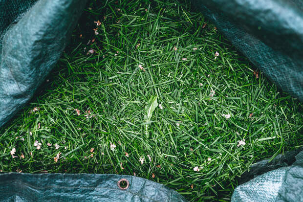 8 способов использования скошенной газонной травы