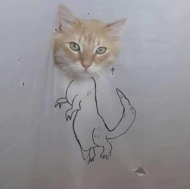 история о коте кот в ванной