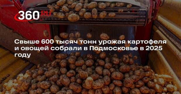 Свыше 600 тысяч тонн урожая картофеля и овощей собрали в Подмосковье в 2025 году