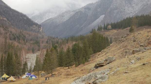 Средняя стоимость тура на Алтай составит около 30 тысяч рублей