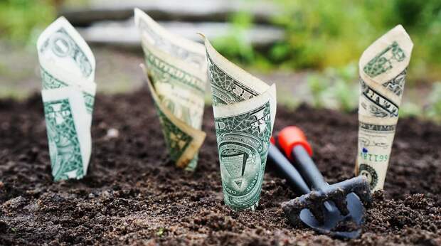 библиотека № 164, финансовое воспитание, деньги