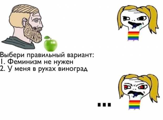 Приколы и мемы про феминисток