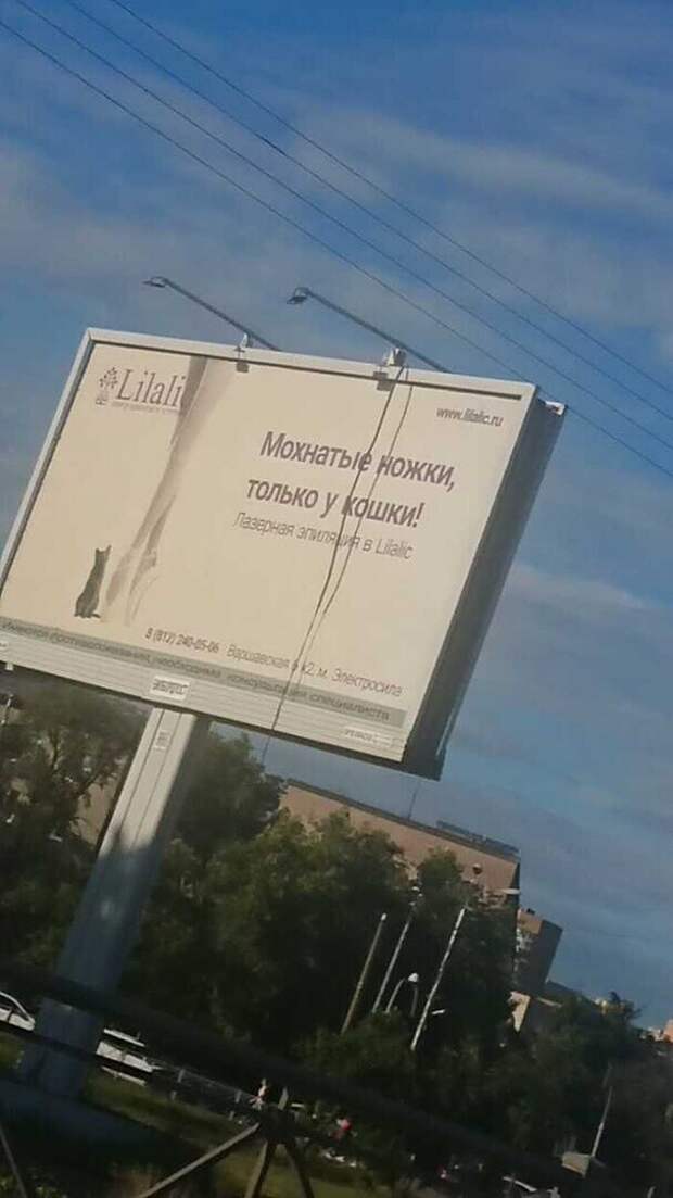 Почему только у кошки? Почему только у кошки?