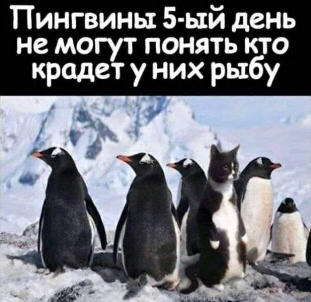 Новые прикольные картинки дня!!!