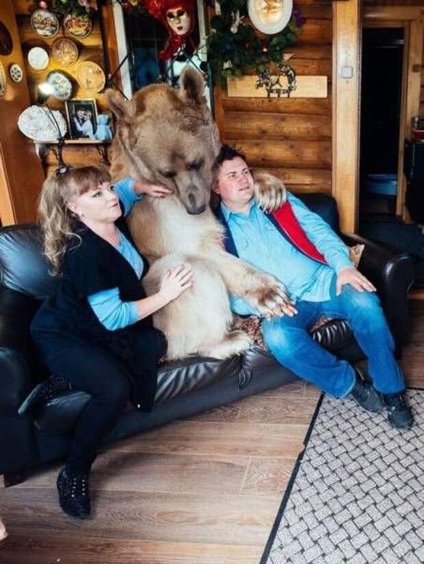 Прикольные картинки (15.12.16)