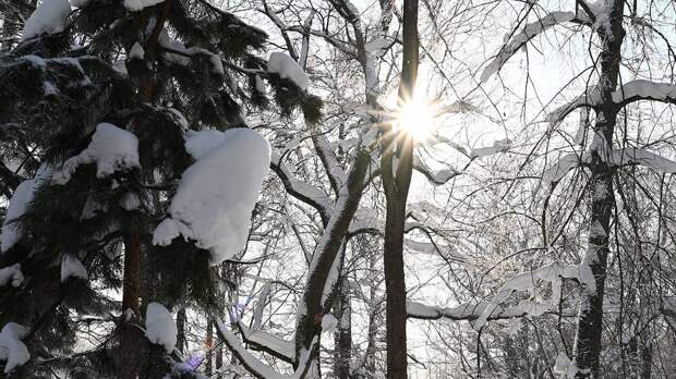Стало известно, как единственный выживший в Пермском крае турист смог спастись