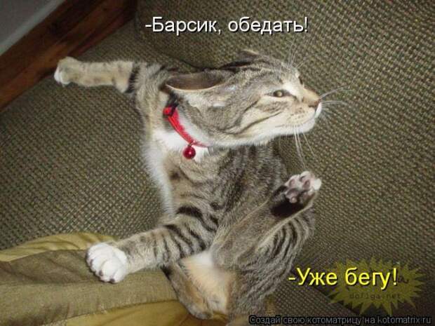 Мысли вслух :)