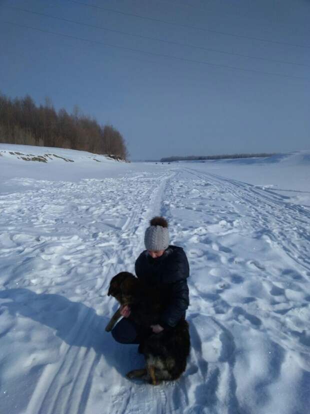 Кто-то выбросил больного пса на речной лёд… Бедолага примёрз, пришлось рыбакам оттаивать его огнём
