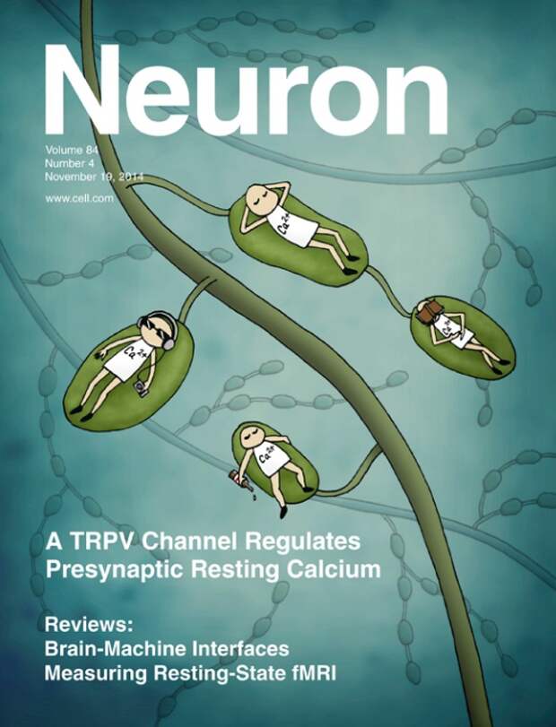 Журнал Neuron. Фото обложки из открытых источников