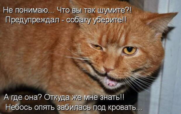 Лучшие котоматрицы недели Лучшие котоматрицы недели