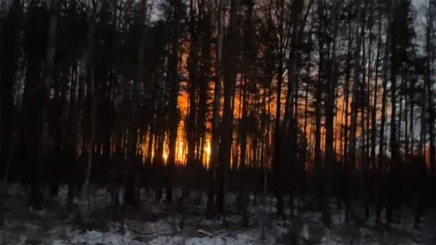 В Астраханском заповеднике зафиксирован новый пожар на площади 4 тыс. гектаров