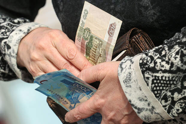 Лидер ЛДПР Слуцкий предложил увеличить надбавку к пенсии на уход до МРОТ