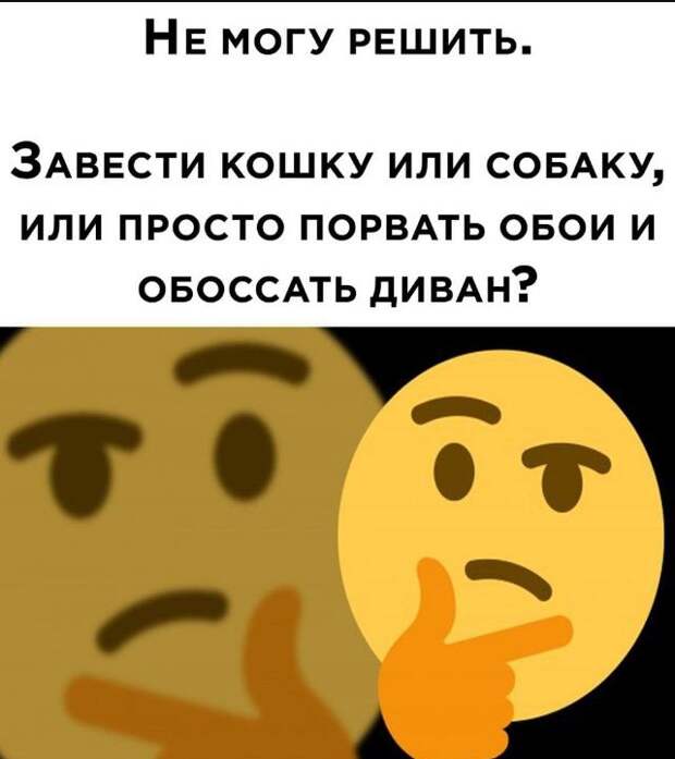 Картинки с юмором