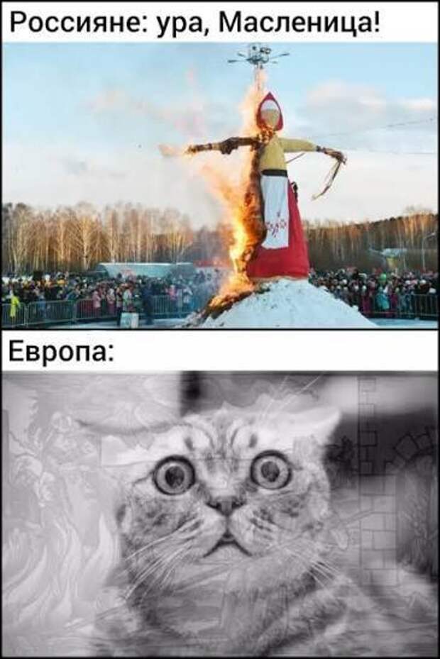 Донецкая группа новостей, Донецк ДНР