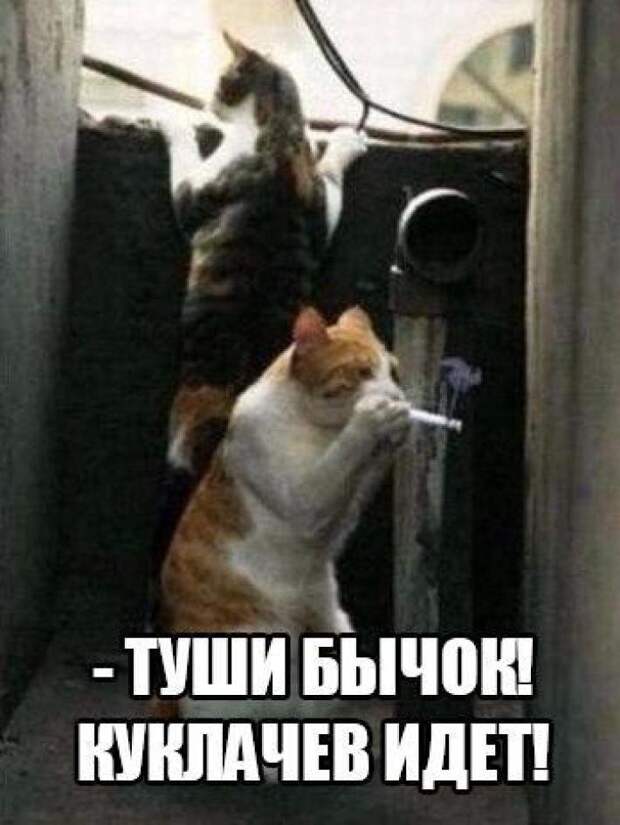 32 Фото Для Отличного Настроения На Всю Неделю!