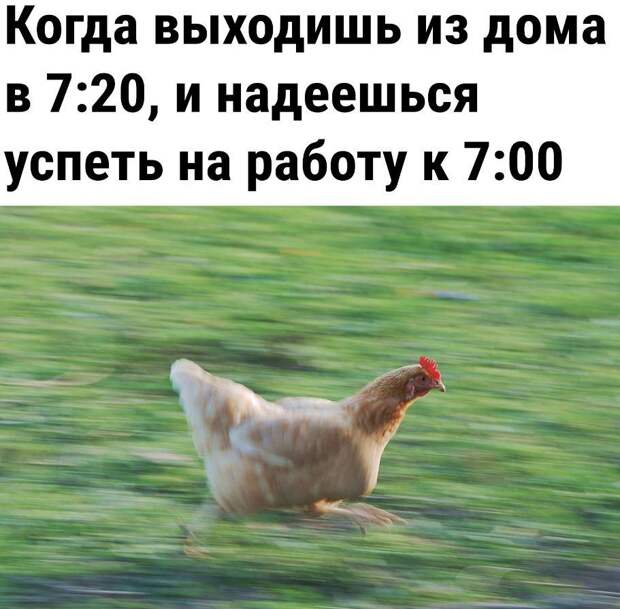 прикольные картинки ржачные (2)