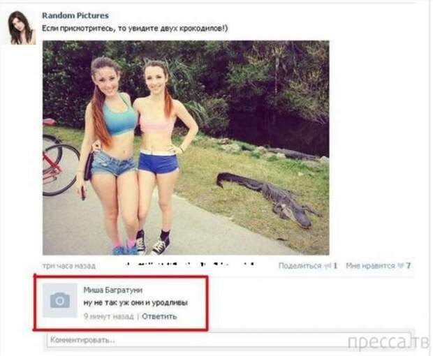 Неадекватный юмор из социальных сетей. Подборка chert-poberi-chert-poberi-53110501032020-1 картинка chert-poberi-53110501032020-1