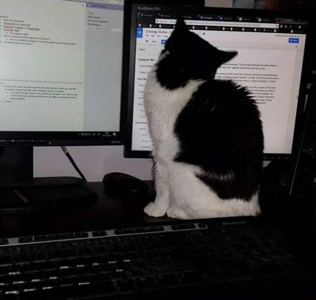 www.vsyako.net