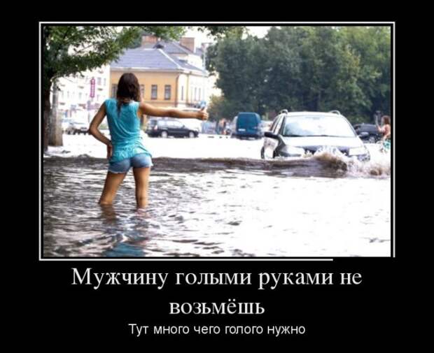 Демотиваторы (30 фото)