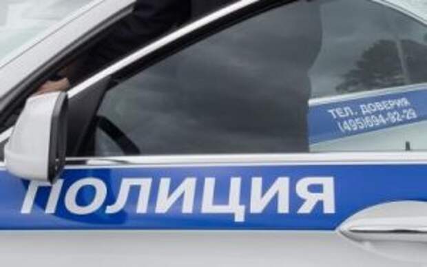 Полицейские Центрального округа задержали подозреваемую в побоях