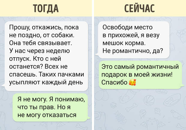 История о том, как я стала хозяйкой слепого пса из приюта