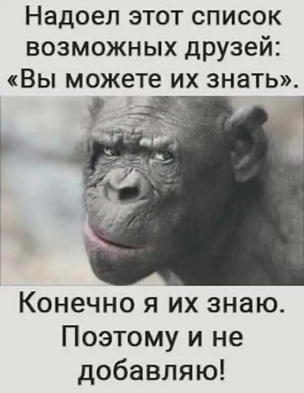 Вежливость – это не только послать, но и проводить Вежливость – это не только послать, но и проводить обезьян, автобус, будет, чтобы, зовут, бизнесмен, Hастроение, ничего, денег, парень, когда, работает, Аркадий, последних, слово, троллейбус, перед, Обезьян, Hормальное, Попрыгай